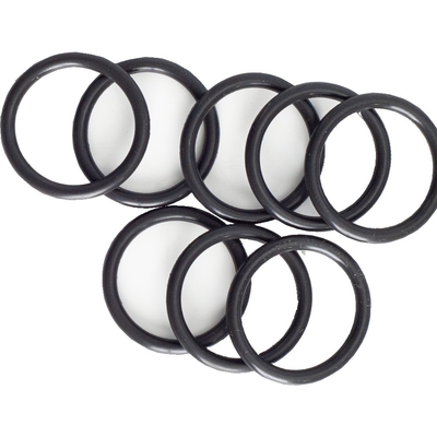 G90-1006267 KIT di manutenzione per pompe a polvere PP06