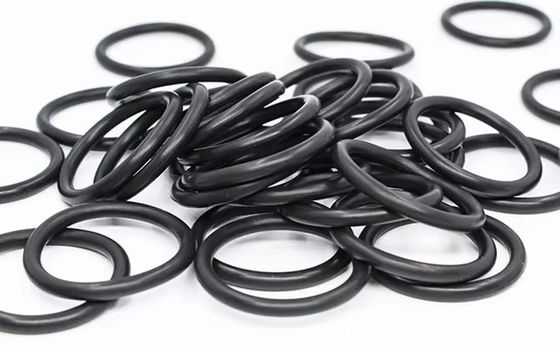 1006324 O-Ring Nero Fluorurato 12x1 MM FPM75 Per Pistola a Spruzzo GA03