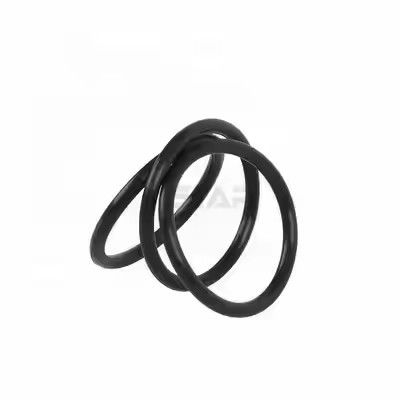 1095885 O-ring per pompa verniciatura a polvere Tribo Gen II lucidata Supporto OEM personalizzato