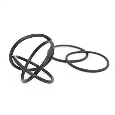 1095885 O-ring per pompa verniciatura a polvere Tribo Gen II lucidata Supporto OEM personalizzato